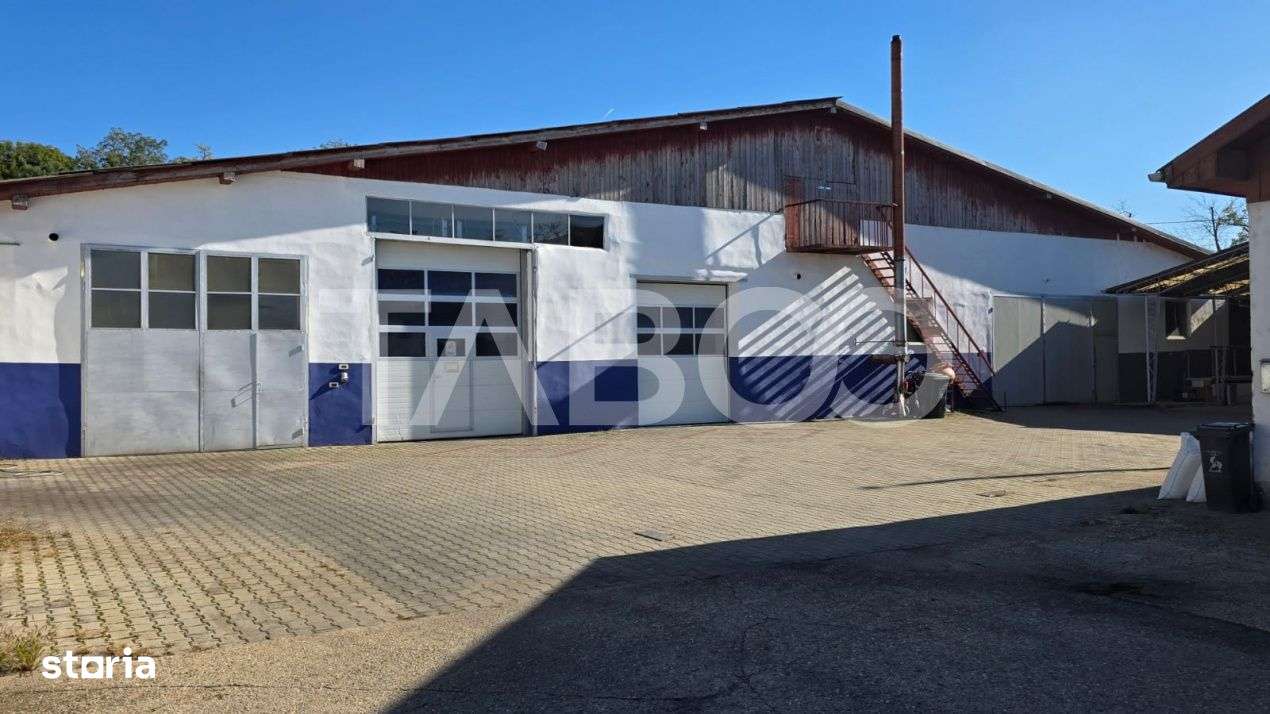 Spatiu industrial de 300 mp de inchiriat in Sebes Alba - Imagine principală: 2/12