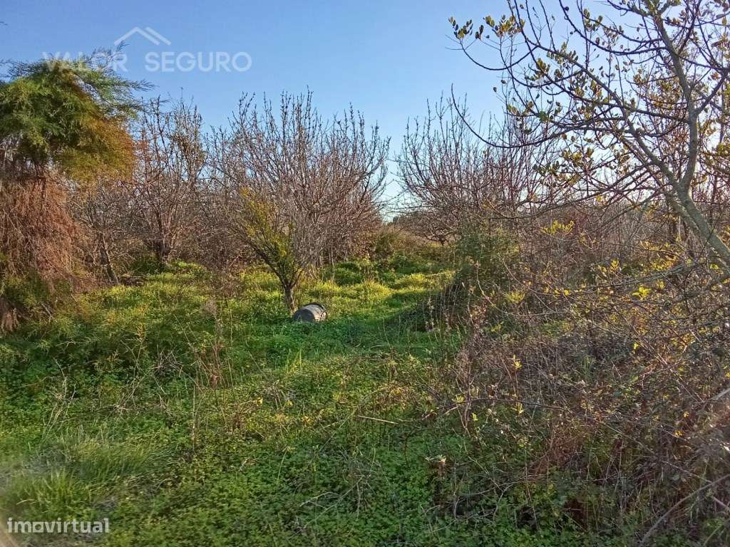 Terreno rústico em Vale Serrão, Pereiro de Palhacana, Alenquer-7