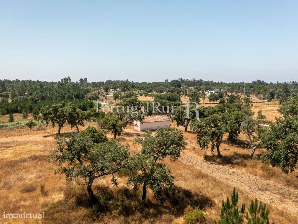 Quinta de 20ha com projeto para Turismo Rural a 1h de Lisboa-11