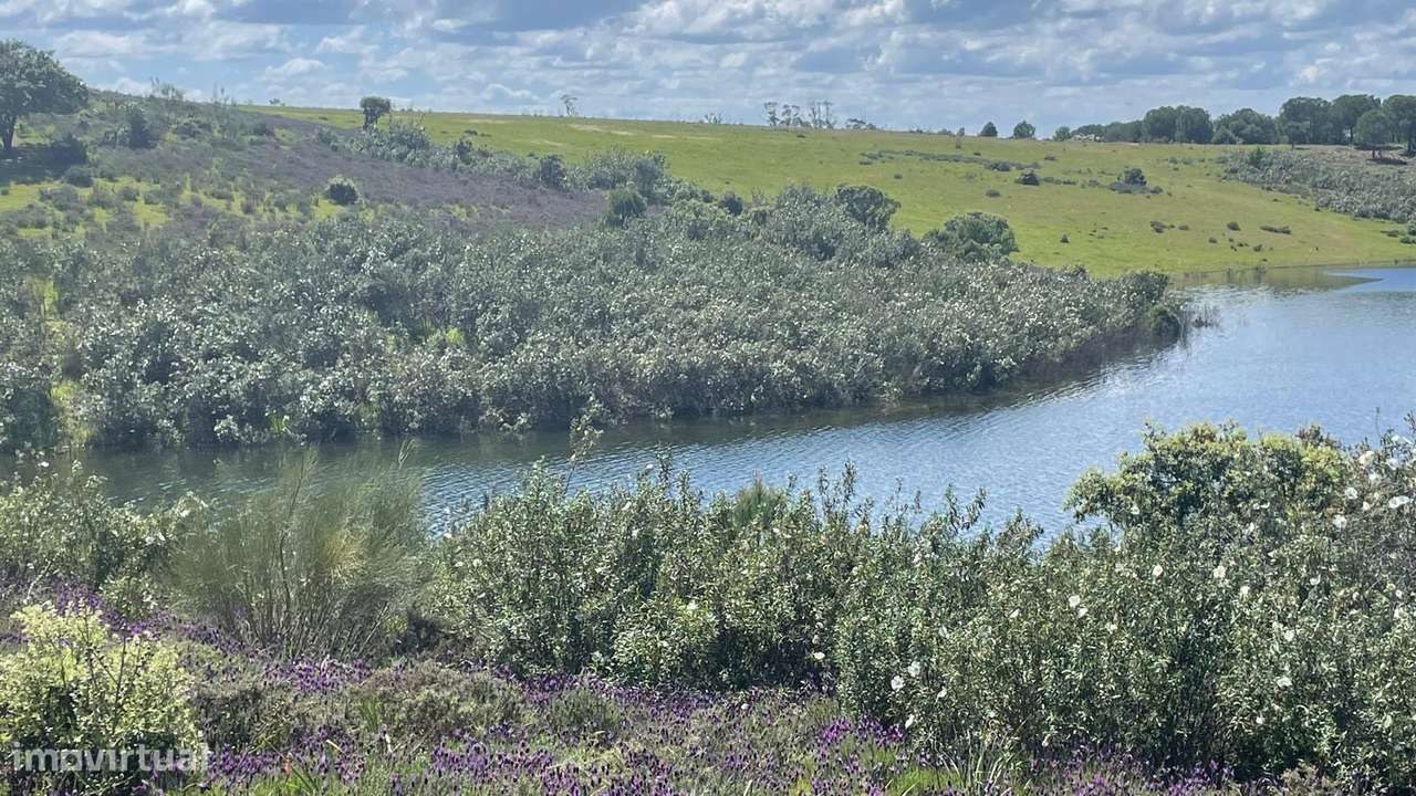 Terreno na Margem Alqueva-18
