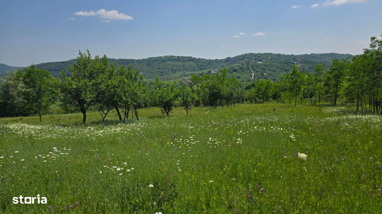 Teren de vânzare – 6.352 mp – Slavu (Prahova), cu vedere superbă - Imagine principală: 4/7
