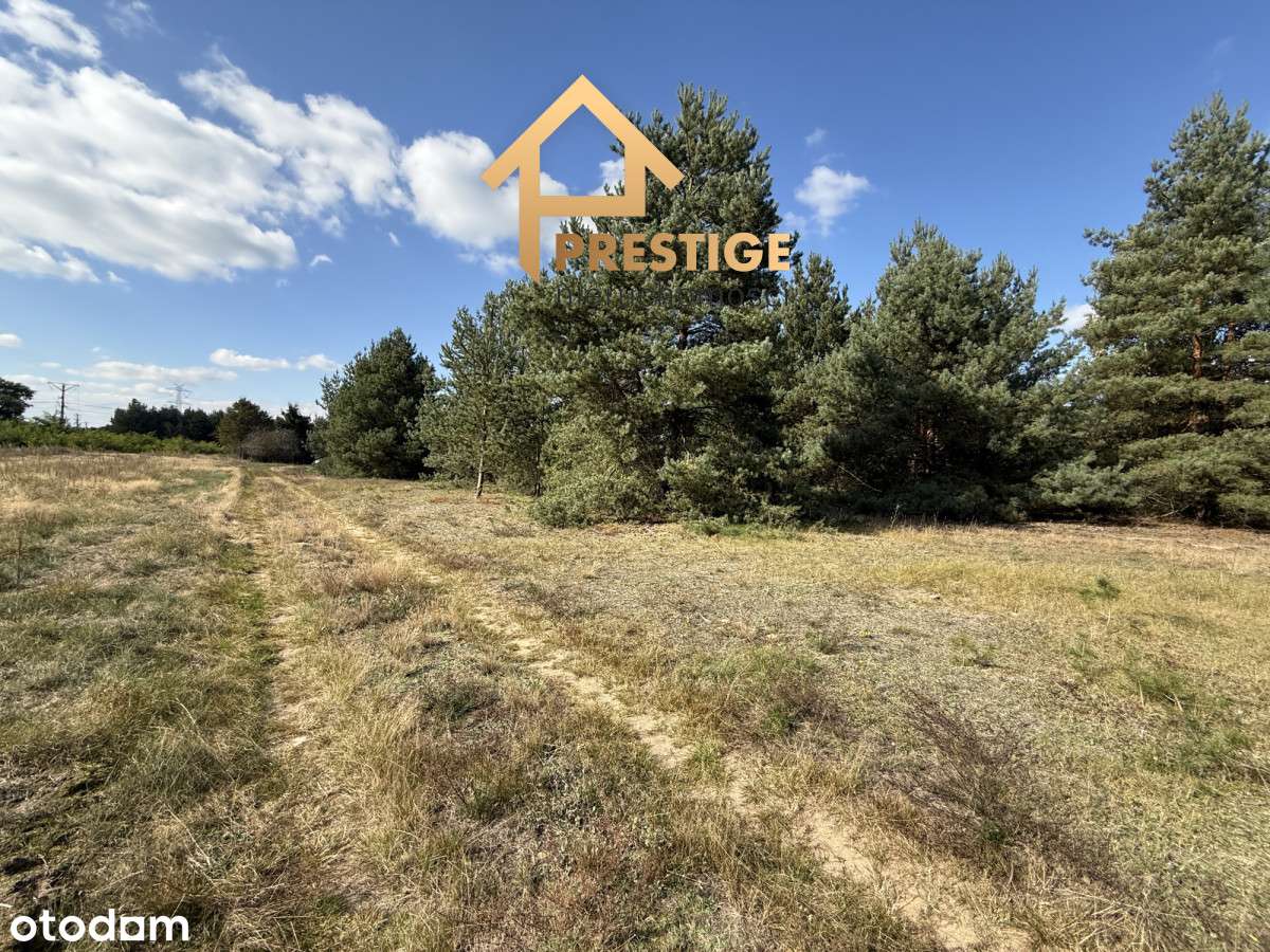 Działki budowlane Rosocha-Kolonia-5