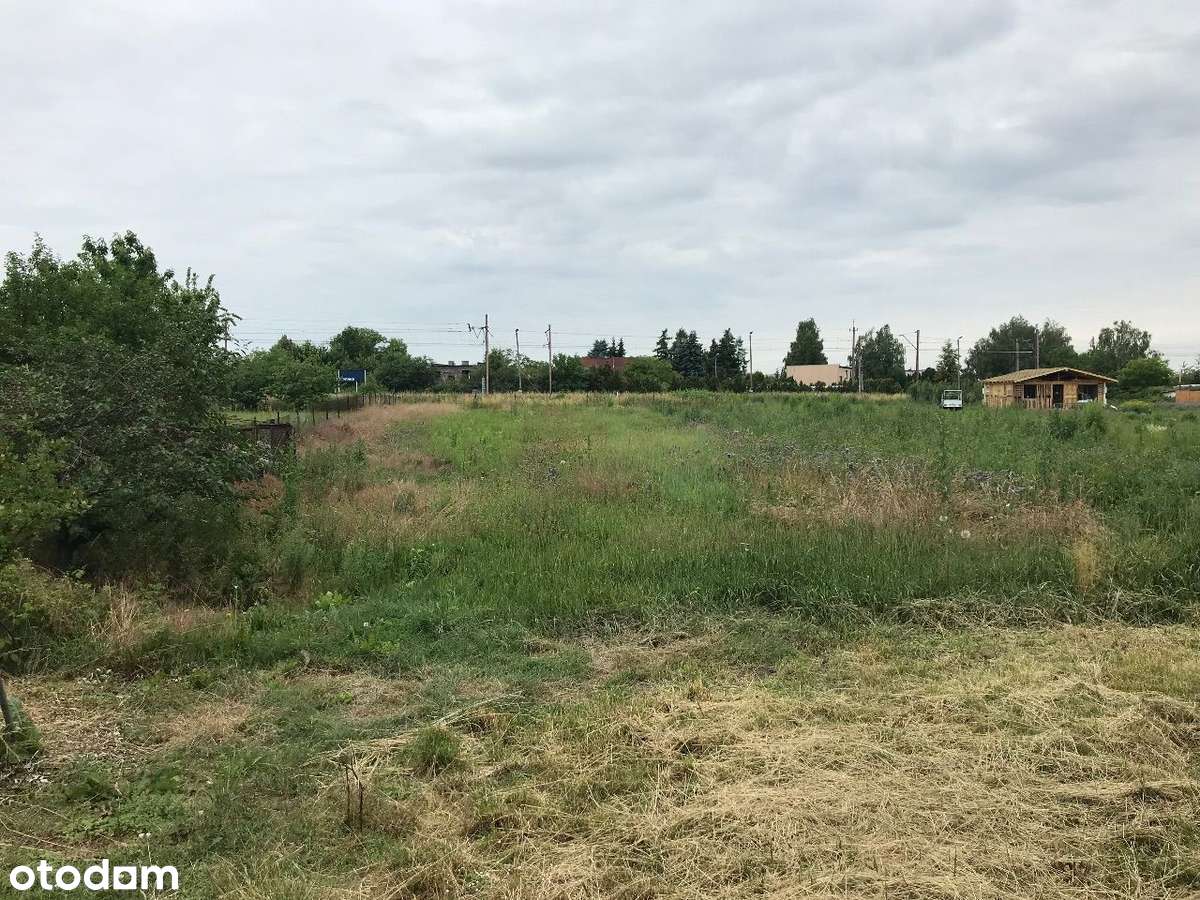 ROKIETNICA | k. Poznania | duża działka budowlana-2