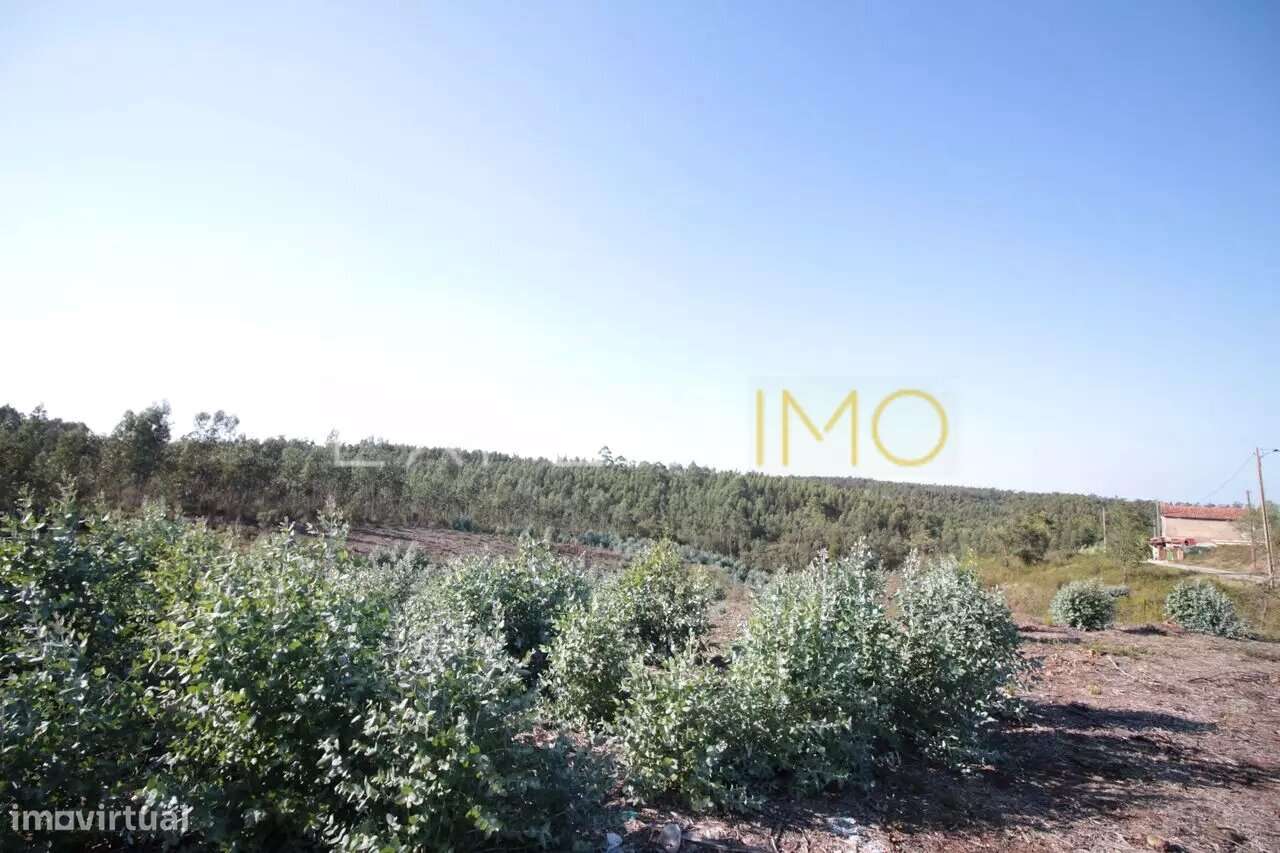 Terreno em Leiria com 75400 m2 para construção - Grande imagem: 4/5