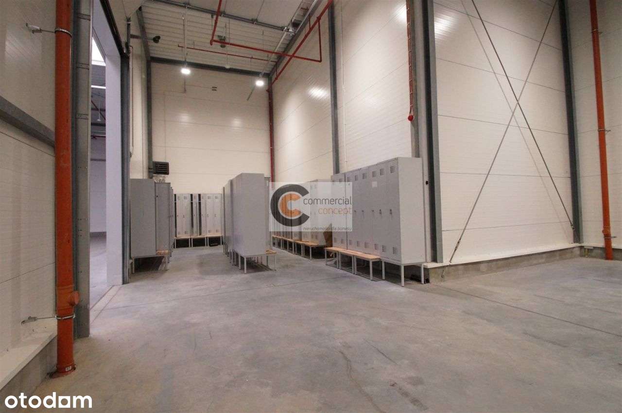 Moduł Z Bramami Kurierskimi z Możliwością Chłodni - Pełny obrazek: 4/8