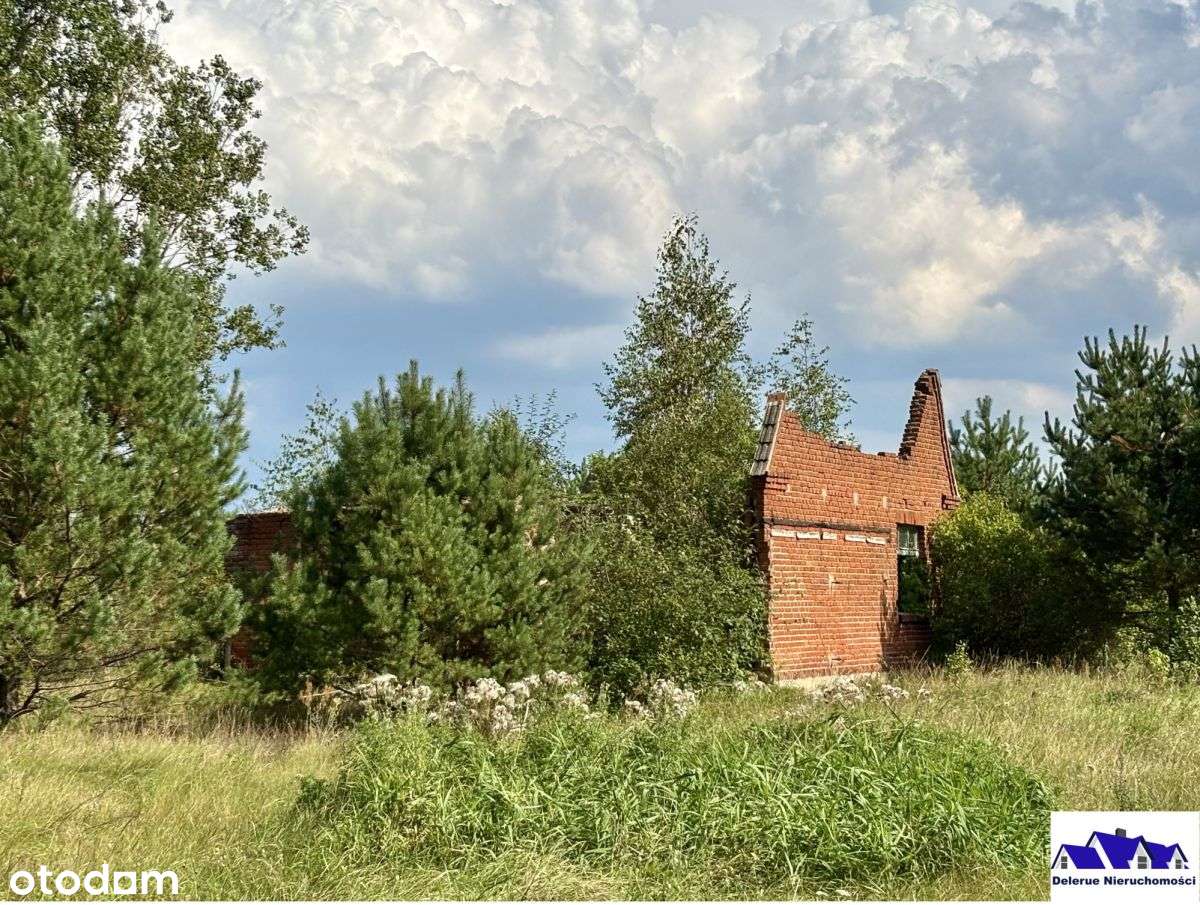 Siedlisko w sąsiedztwie lasu-14