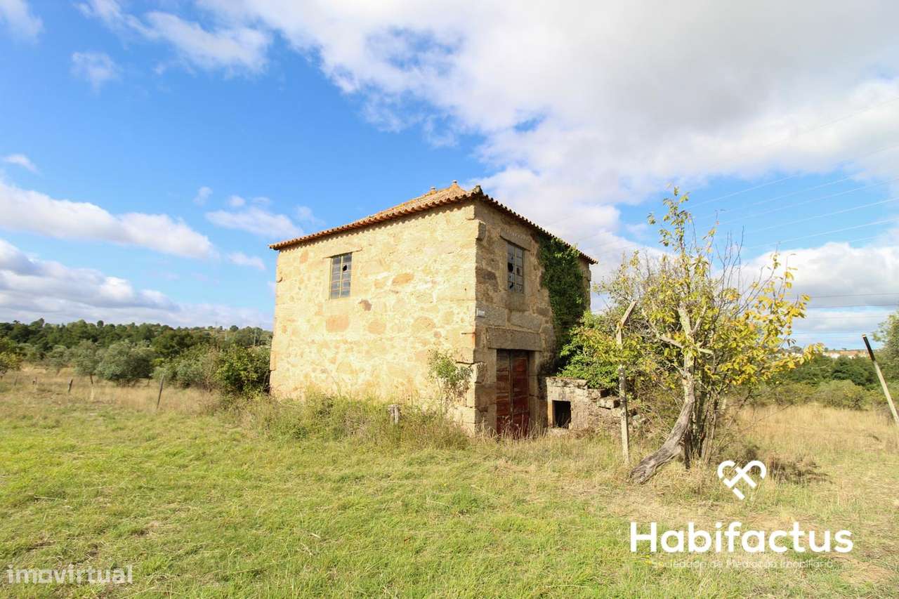 Quinta Rústica com Moradia em Pedra em Vila Cortês da Serra - Grande imagem: 4/15