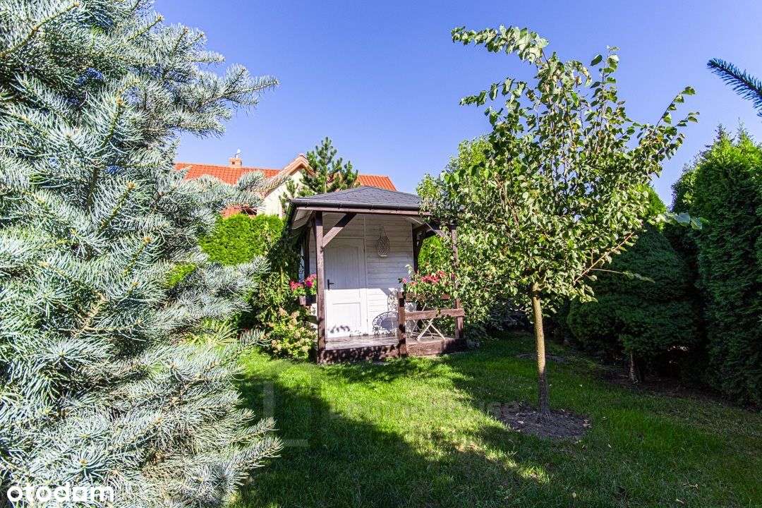 Połówka bliźniaka na Szerokim-15