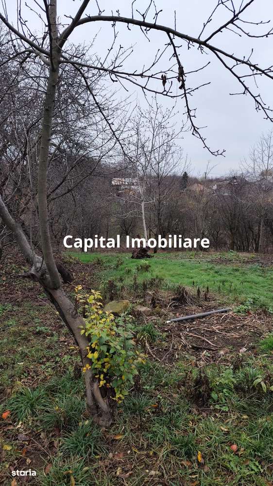 Casa Baicoi caramida 135 mp-13