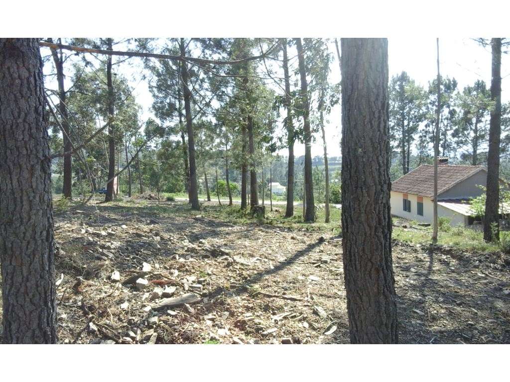 Excelente terreno perto do centro de Ponte de Lima - Grande imagem: 5/5