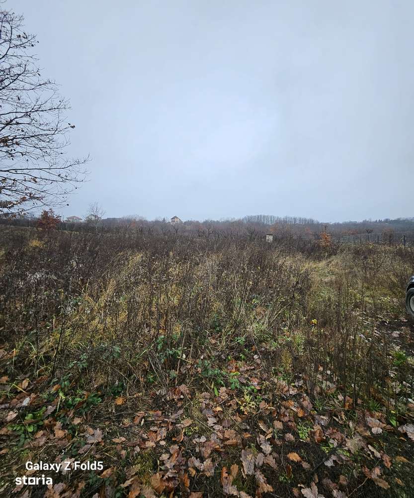 Teren, 2 500 m²,  - Imagine principală: 3/3