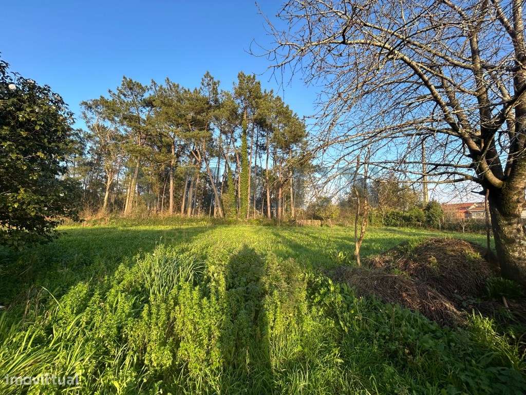 Moradia para Restaurar com 2.590 m² de Terreno, Privacidade e Excel...-2