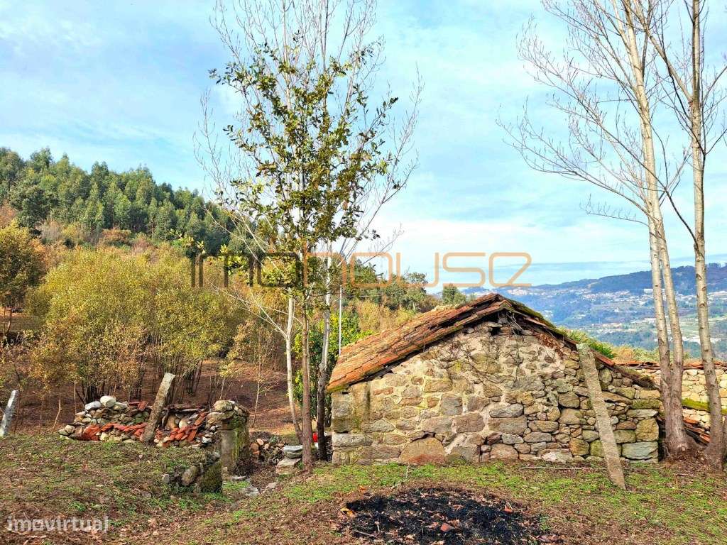 Quinta com Ribeiro e casa para restaurar - Terreno de cultivo-6