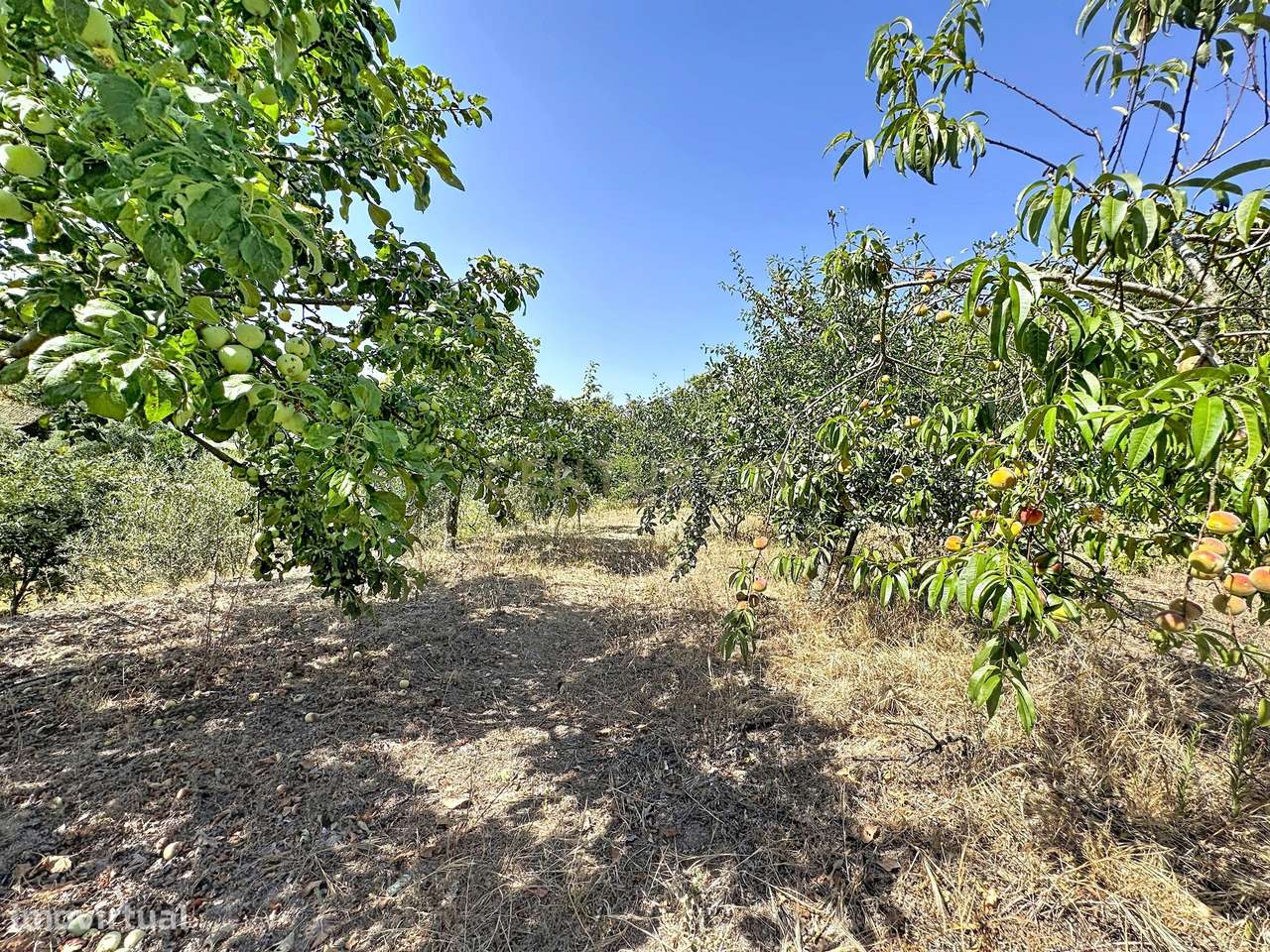 Moradia Térrea com Vista Panorâmica e 4.500 m² de Terreno | Vila Cova,-59
