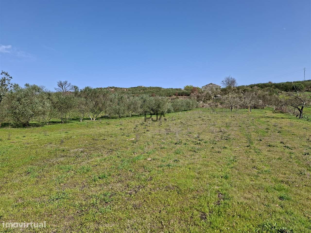 Quinta com 2Ha em Vila Cortês da Serra, Gouveia-14
