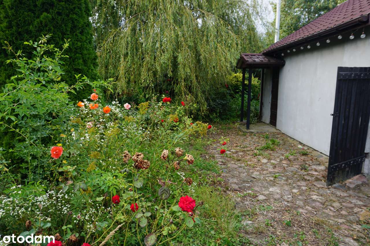 działka 1700 mkw ogrodzona - Pełny obrazek: 4/7