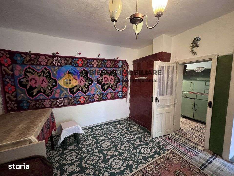 Casa si teren 3054 mp - Negresti - Imagine principală: 4/16