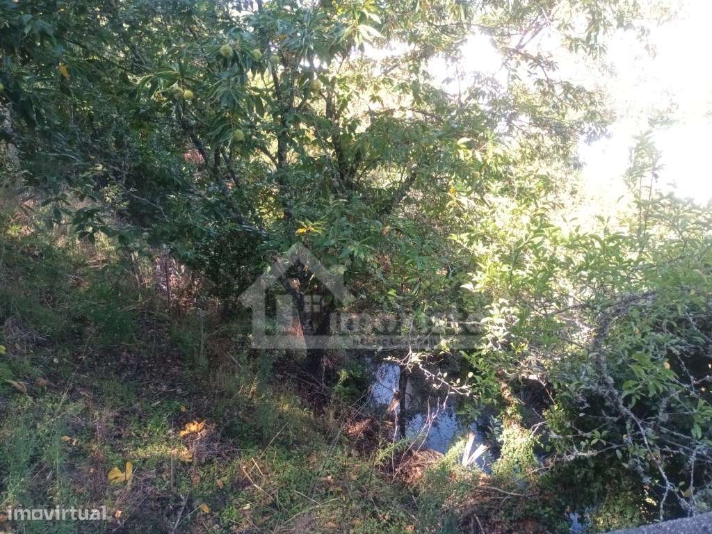 Moradia T3 em Campelo-59