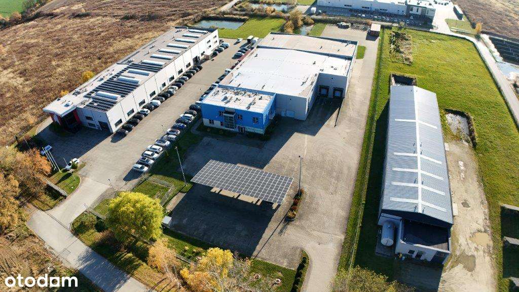 Hala produkcyjna - Leśnica, Wrocław. Dostępna od ręki, Vat do zwrotu - Pełny obrazek: 2/19