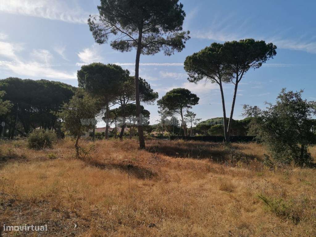 Terreno para cosntrução na Lagoa de Albufeira-4