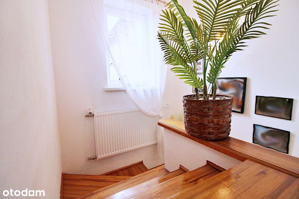 Dom z dużą działką i dodatkowym budynkiem - Pełny obrazek: 5/20