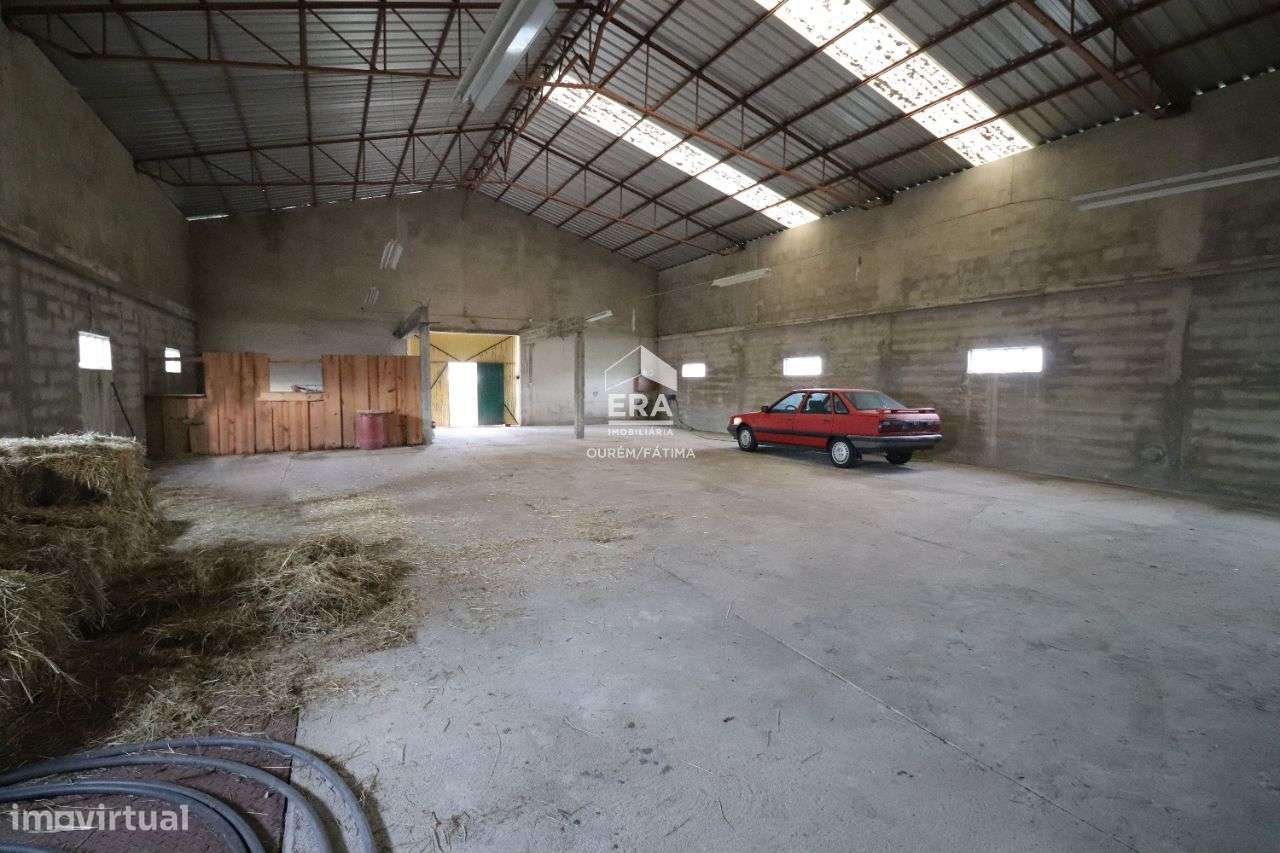 Armazém localizado no Olival, Ourém! - Grande imagem: 4/14