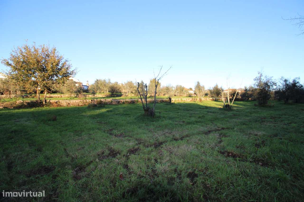 Terreno, Viseu, Tondela, Canas de Santa Maria - Grande imagem: 4/14