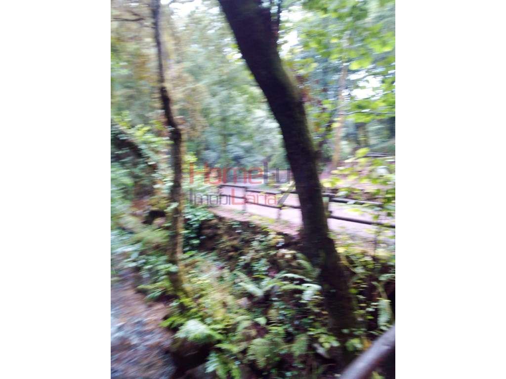 Terreno para construção em Cidacos - Oliveira de Azeméis - Grande imagem: 5/6