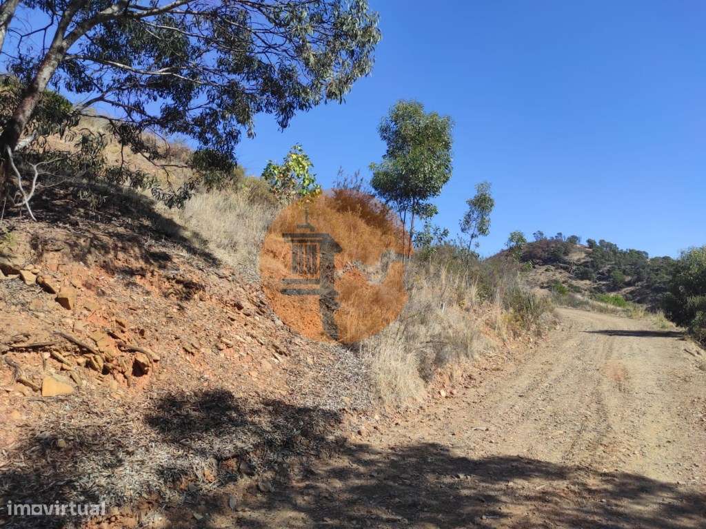 TERRENO RÚSTICO COM 5.550 M2 - COM ÁGUA - CONCEIÇÃO - TAVIRA - ALGARVE - Grande imagem: 4/30