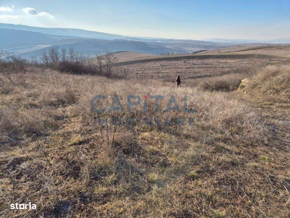 Teren intravilan, 1 000 mp, zona Tausor - Imagine principală: 2/7