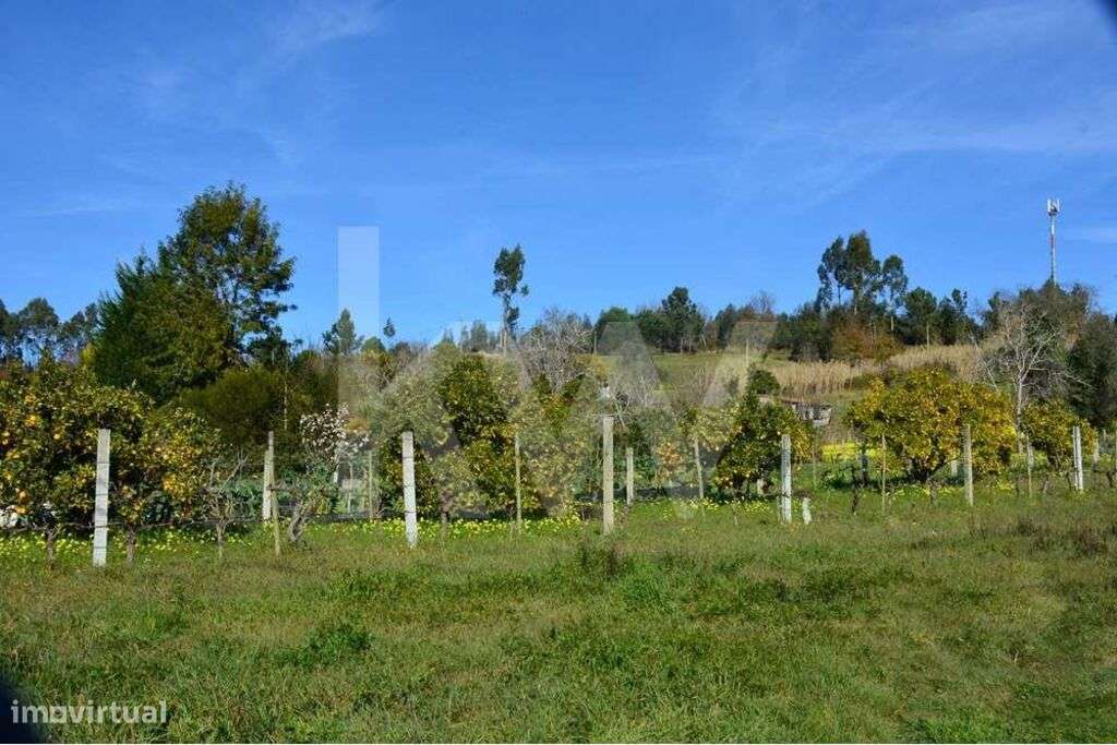 Terreno em  Zona Residencial  R1| 3324 m2 | São Facundo | 8 km do Cent - Grande imagem: 4/9