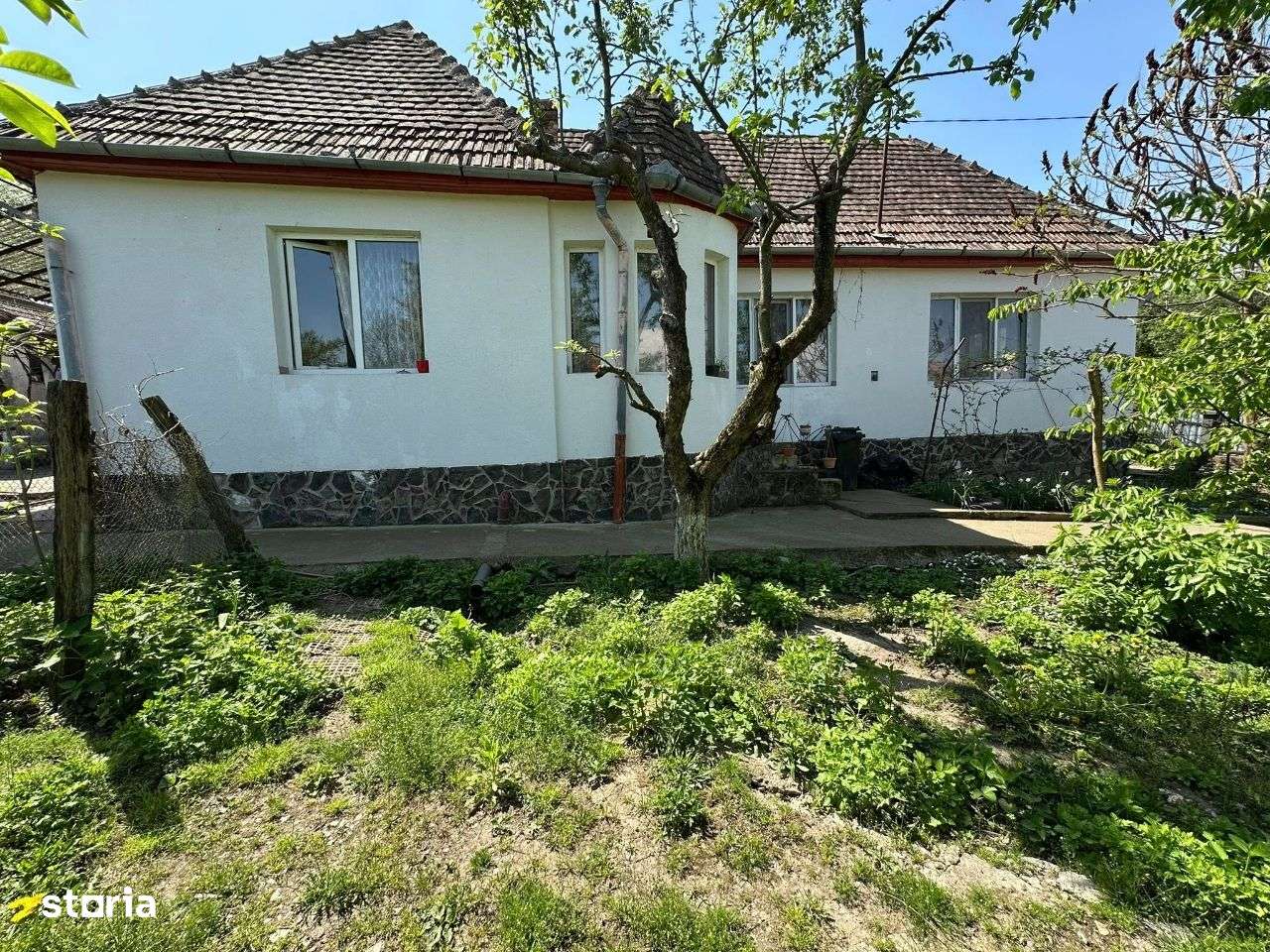 Casă DE VÂNZARE Str: Florilor Adămuș - Imagine principală: 3/19