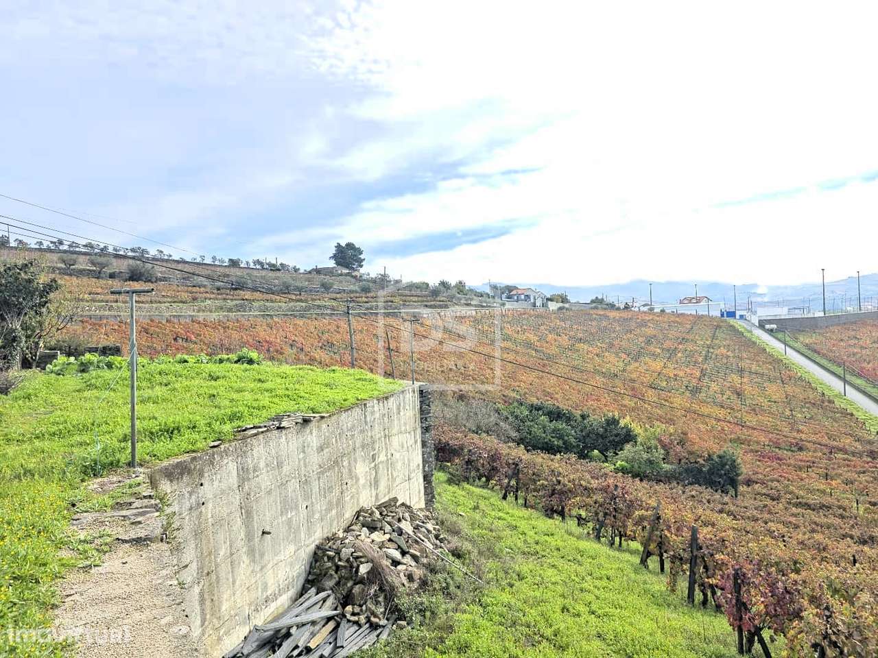 Quinta T4 Venda em Fontelas,Peso da Régua-48