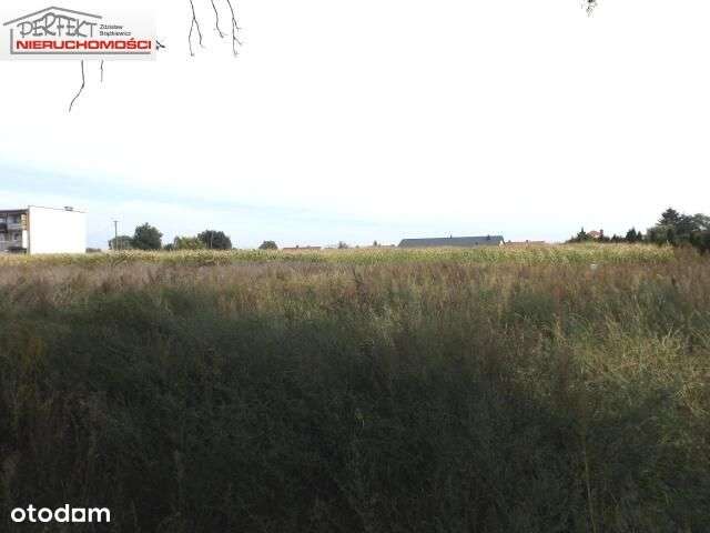 Działka idealna pod inwestycję. - Pełny obrazek: 2/3