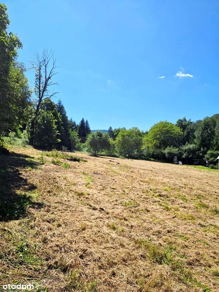 Działka budowlana o pow. 1 568 m2/Pieszyce! - Pełny obrazek: 4/6