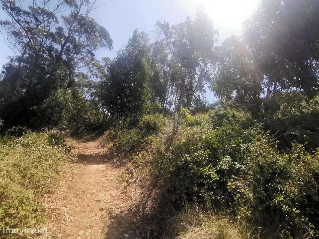 Terreno no centro de Janes - Grande imagem: 4/9