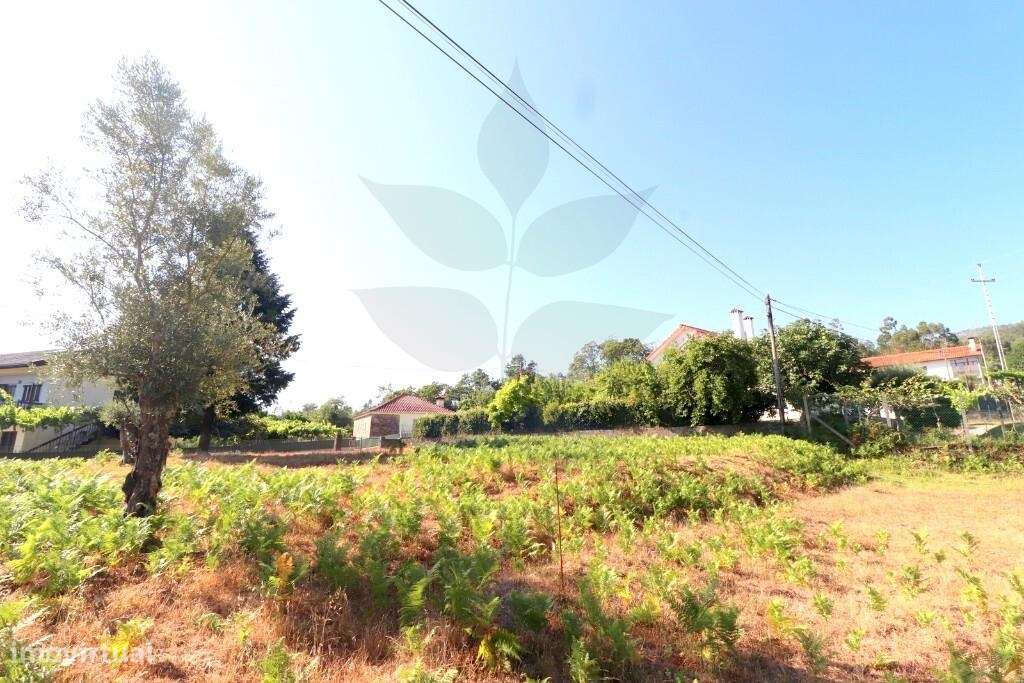 Terreno p/construção  ANAIS - Ponte de Lima-6