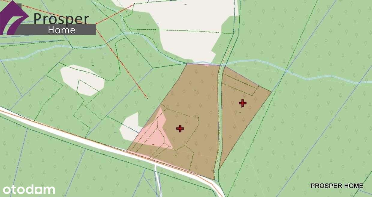 Magiczna działka w lesie ze strumykiem!!! - Pełny obrazek: 5/7