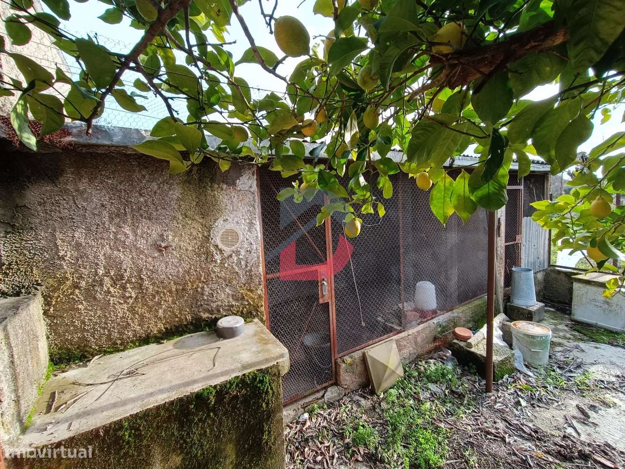 Terreno Rústico - Grande imagem: 5/31