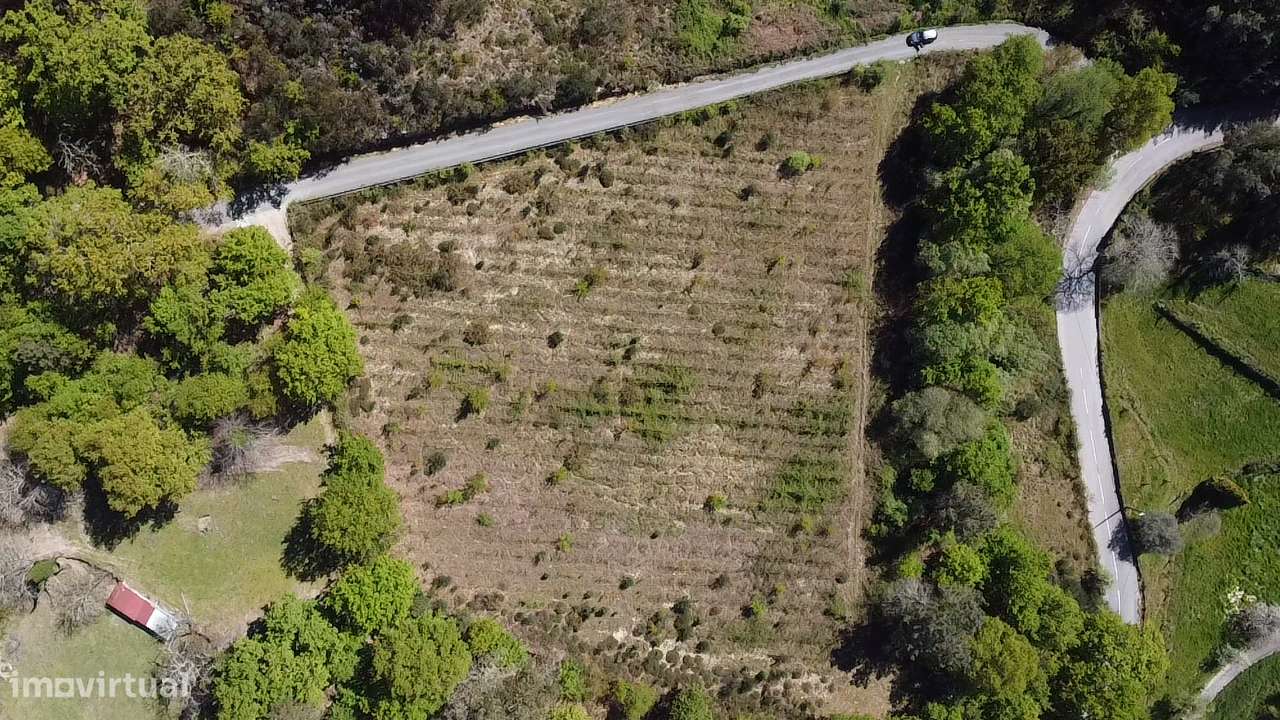 Terreno – Vouzela-7