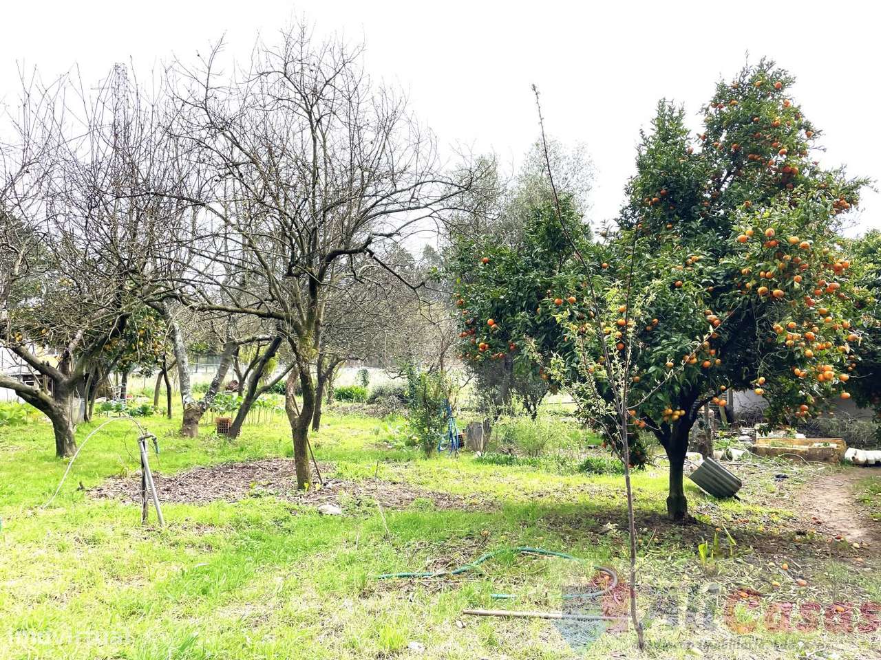 Vivenda Isolada C/ 2.719m2 de Terreno-58