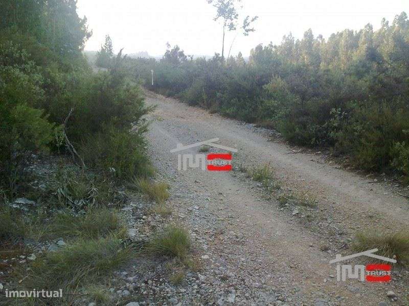 Terreno - Grande imagem: 3/6