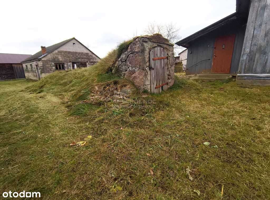 Tanie i ciche siedlisko na wsi z potencjałem - Pełny obrazek: 5/9