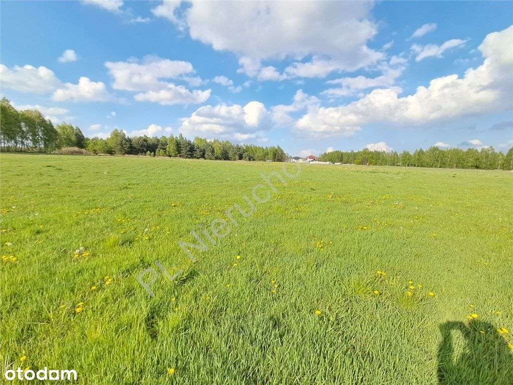 Szybki dojazd S17 lub A2, Spokojna okolica! - Pełny obrazek: 5/6