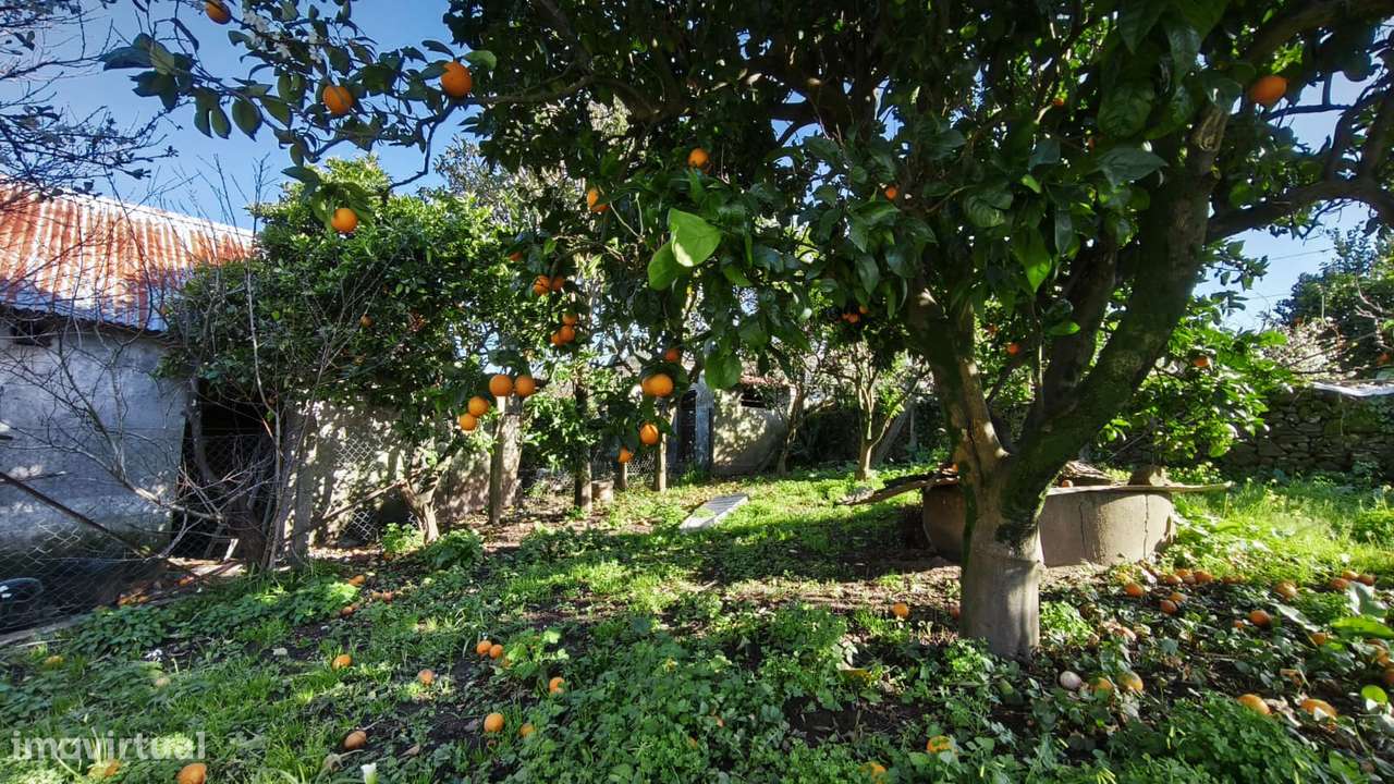 Moradia T4 com jardim e varanda em Santa Marta de Portuzelo - Grande imagem: 5/20