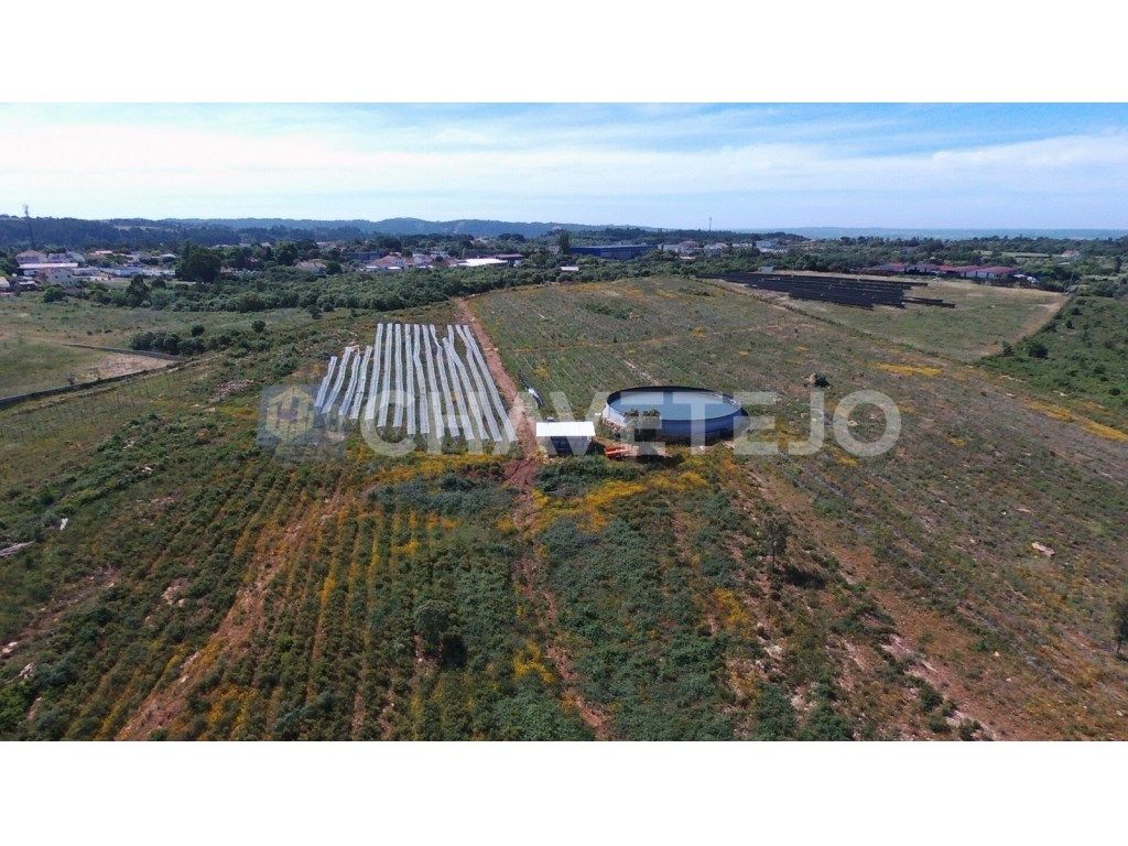 16ha com exploração de mirtilos biológicos, furo, sistema...