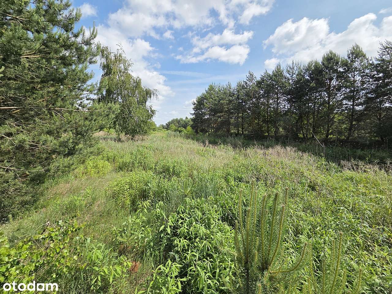 Urokliwa enklawa otulona zielenią - Pełny obrazek: 5/14