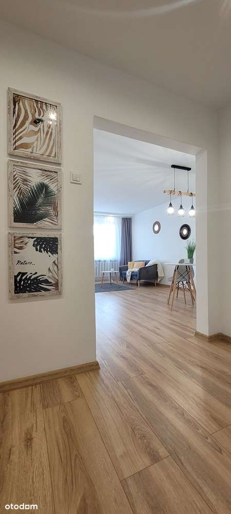 Po remoncie. Piękne M5 w Będzinie - Pełny obrazek: 5/17