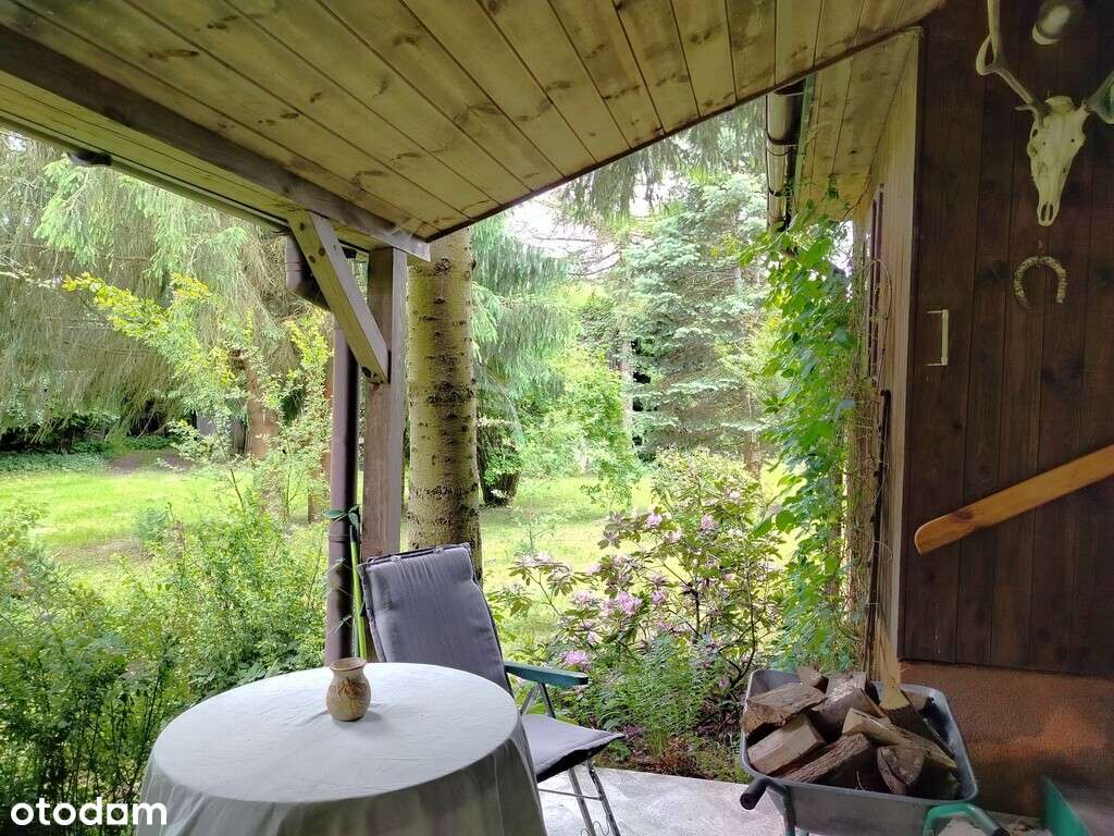 piękne ranczo z łąką i lasem pod Horyńcem-Zdrojem - Pełny obrazek: 4/15