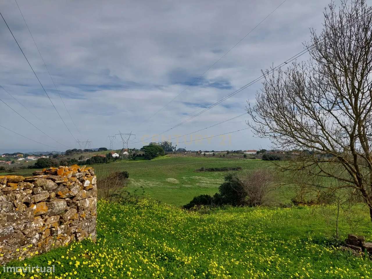 Quinta - 25 hectares-17